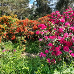 23-06-03 16-33-05 5780